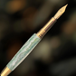 “Jade River” | Gold Fountain Pen | Highlander Collection